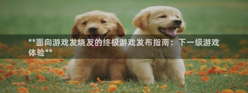 顺盈娱乐登录平台下载安装最新版：**面向游戏发烧友的终极游戏发布指南：下一级游戏
体验**